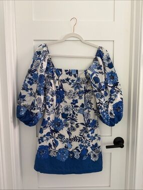 Cara Cara Blue and White Floral Puff-Sleeve Mini Dress